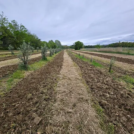 2 Au Bord Du Canal Du Midi Carcassonne *